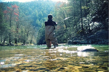 Fly Fishing in Asheville, NC Mountains